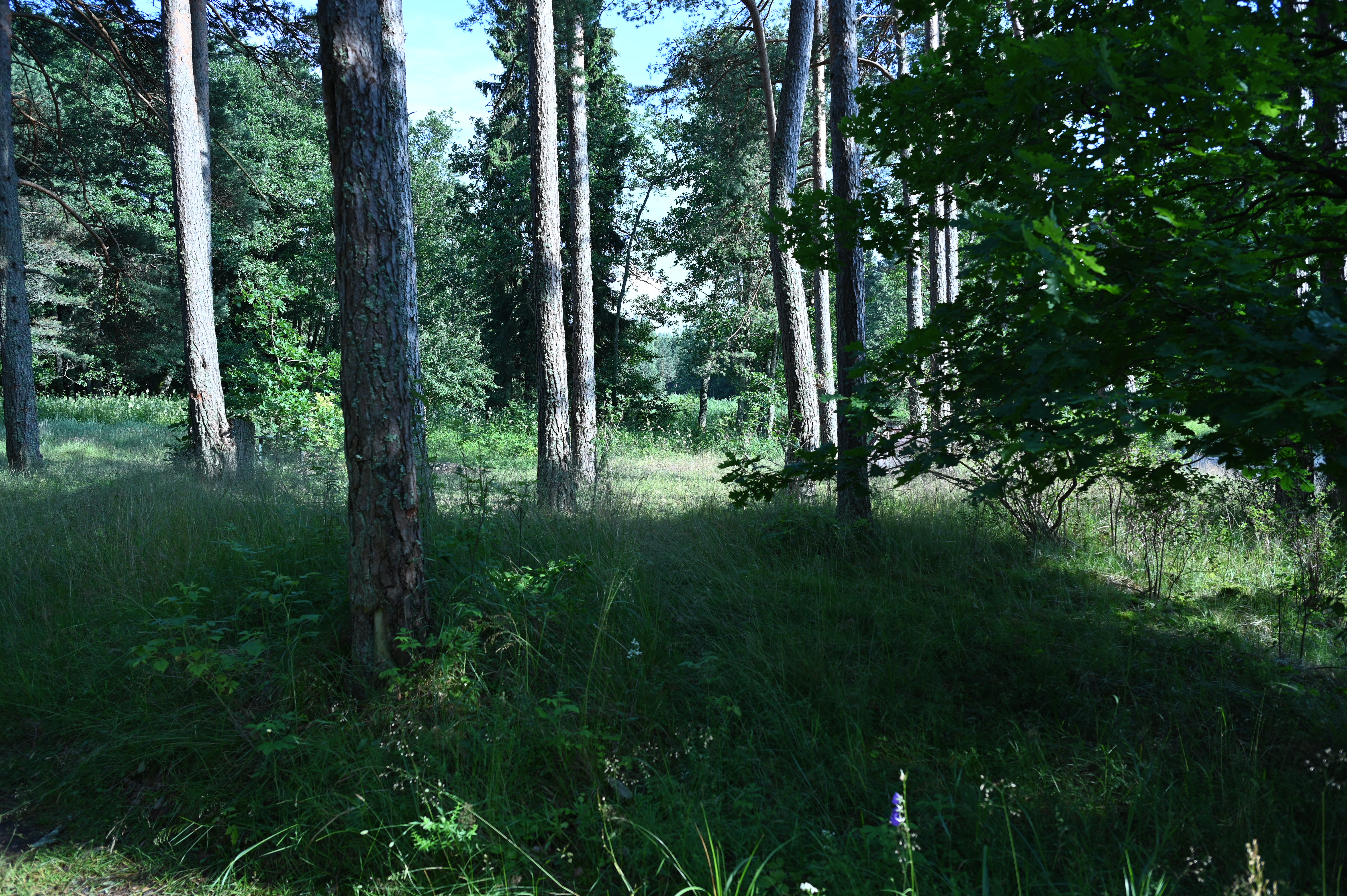 2025/07/09-14 - trip/DSC_0270.JPG